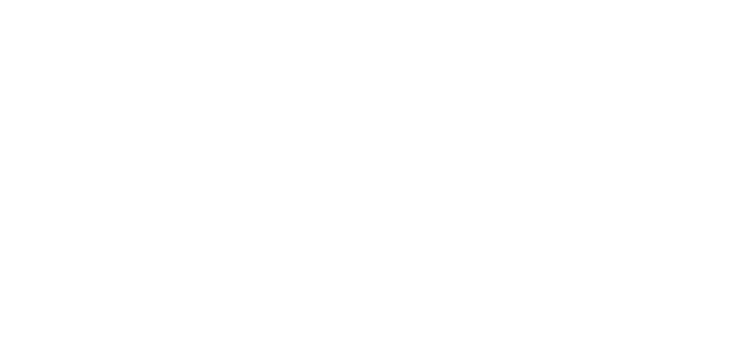 CL Max Logo